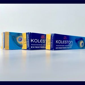 Lightest Blonde Hair/Ash Hair Dye